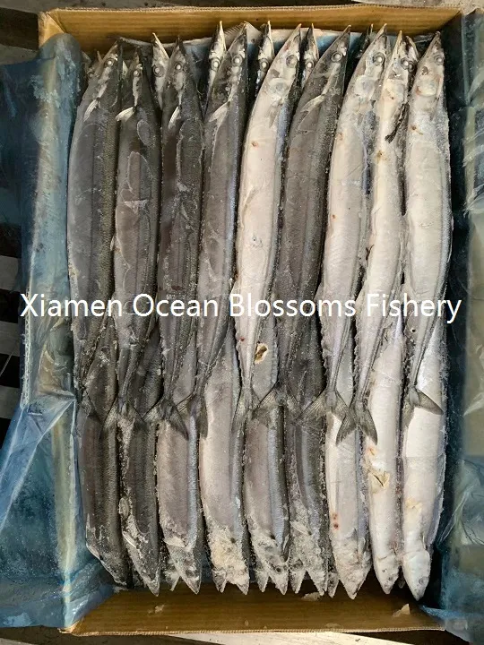 High Quality Taiwan Pacific Saury Hot Sale From China Manufacturer
