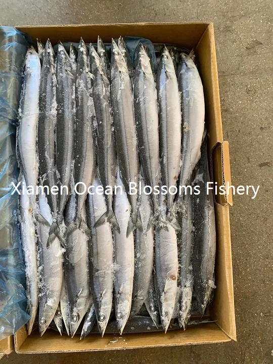 High Quality Taiwan Pacific Saury Hot Sale From China Manufacturer