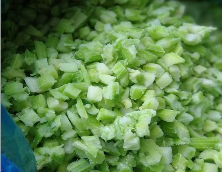 Hot Sale Export Quality Frozen Celery and Frozen Vegetables