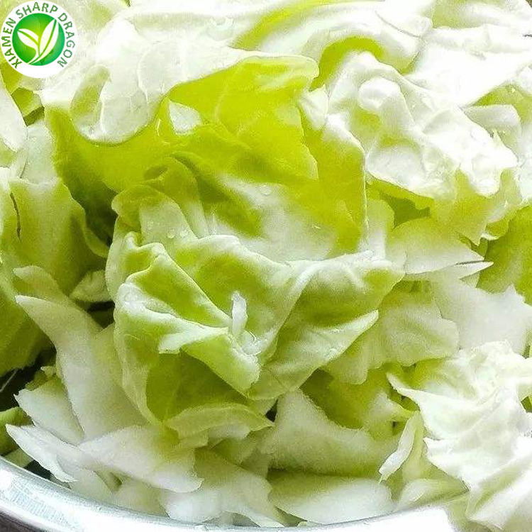 Hot Sale High Quality in Bulk Frozen Cabbage with Hccp Certification