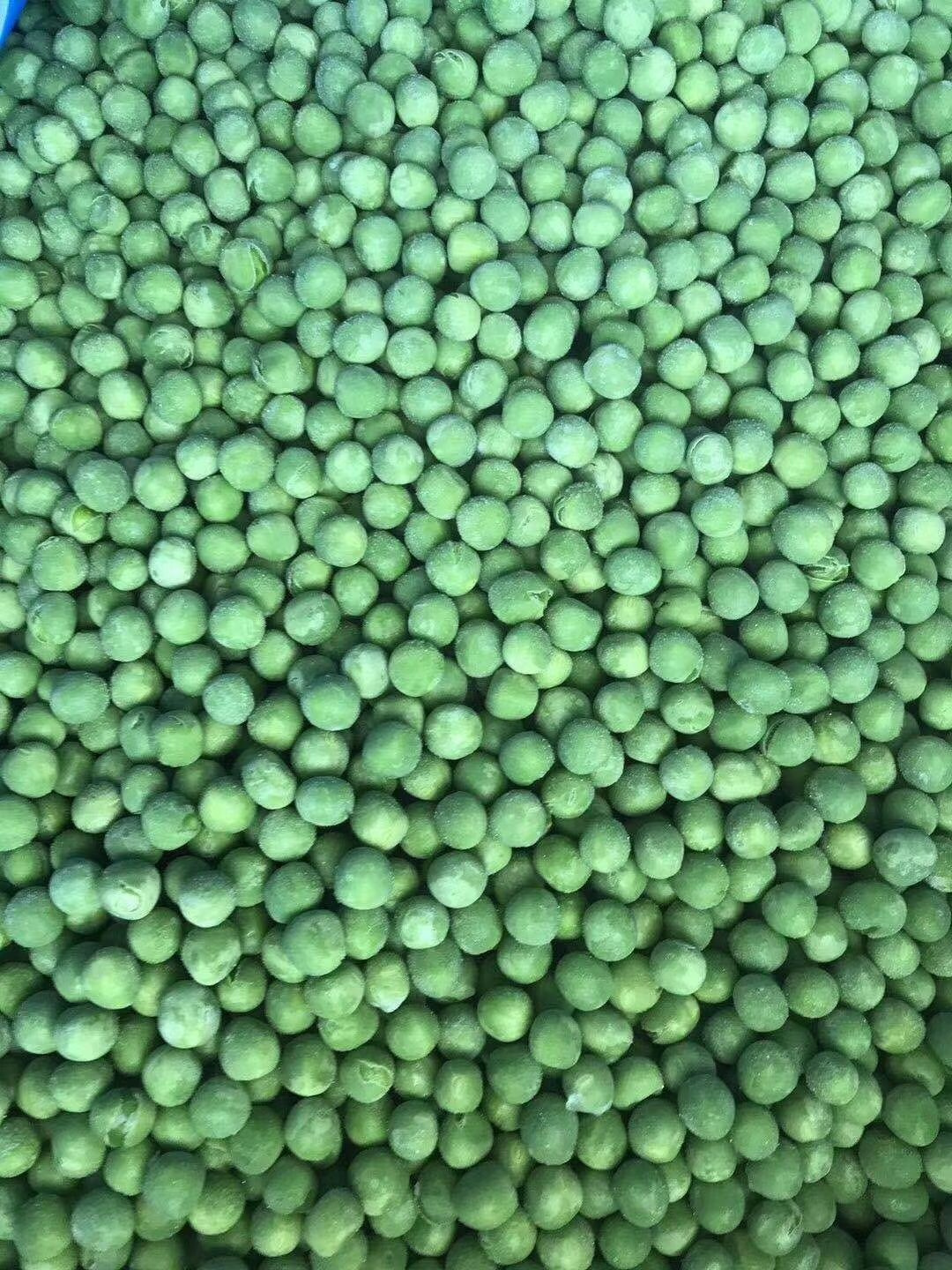 Hot Sale New Crop Best Quality Forzen Green Soybean with Cheap Price