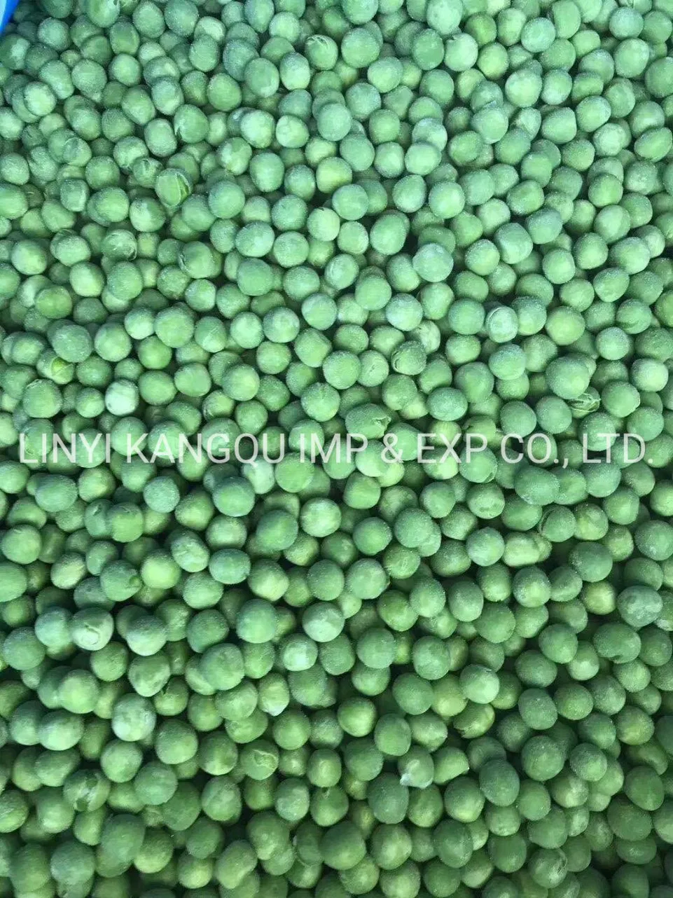 Hot Sale New Crop Best Quality Forzen Green Soybean with Cheap Price