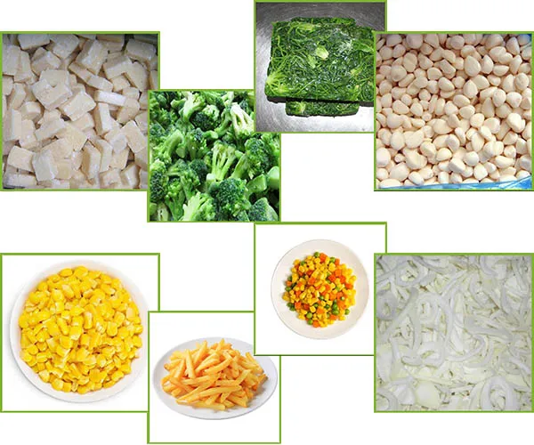 Hot Sale Top Quality Frozen Lotus Root and Frozen Vegetables