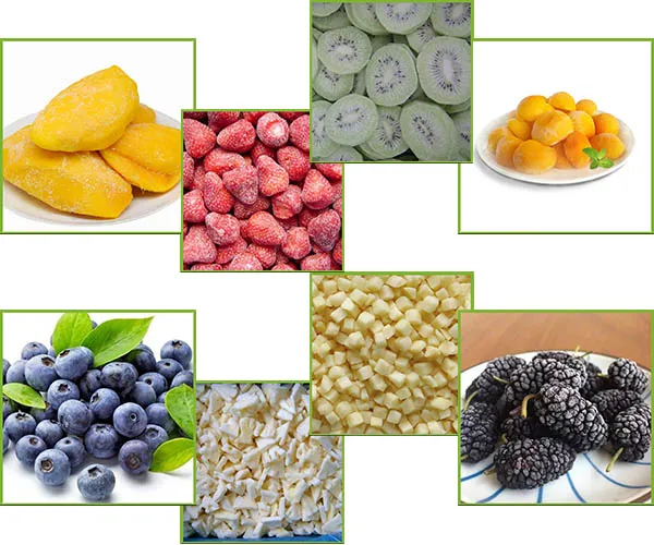 Hot Sale Top Quality Frozen Lotus Root and Frozen Vegetables