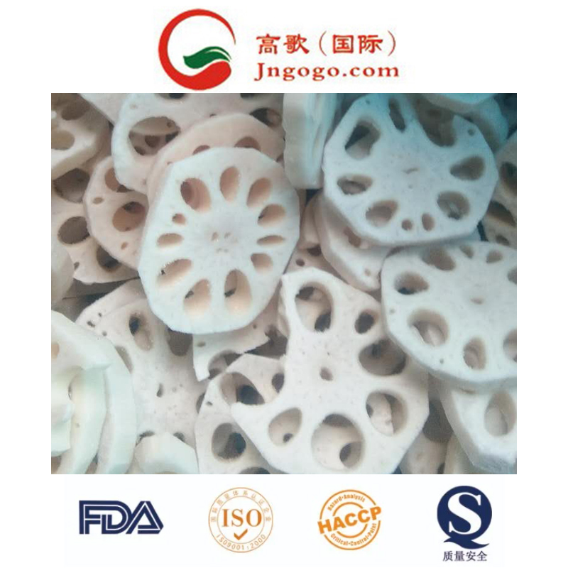 Hot Sale Top Quality Frozen Lotus Root and Frozen Vegetables