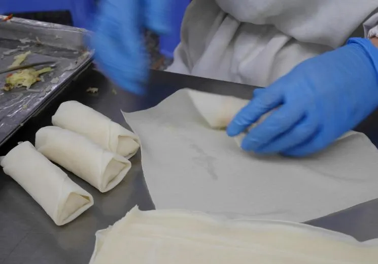 Hot Vegetable Spring Rolls Frozen