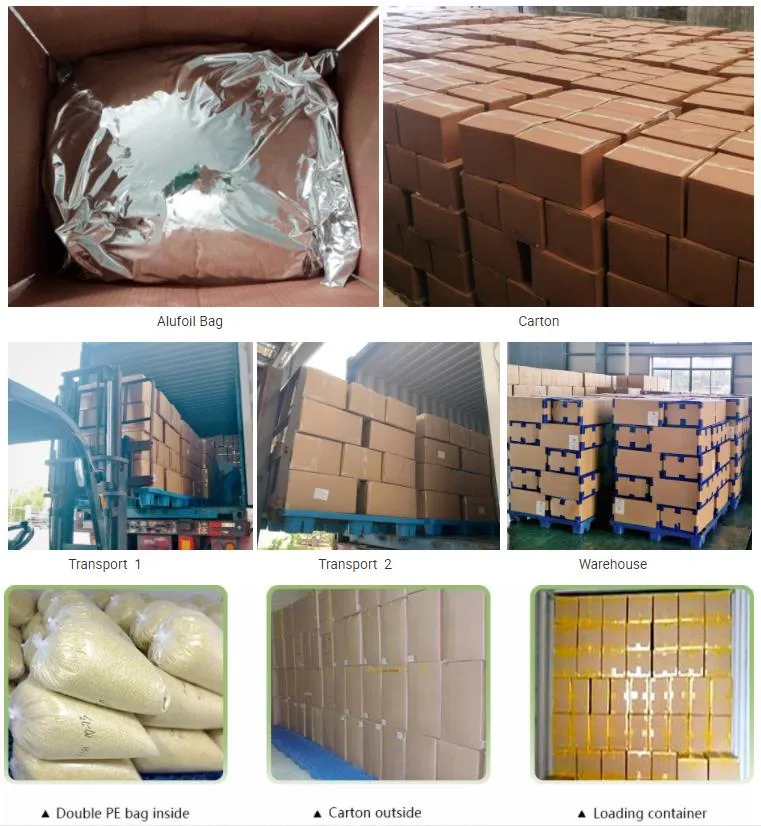 Ifq/Frozen Sweet Corn with Premium Quality, Best Spice for Food and Good for Health