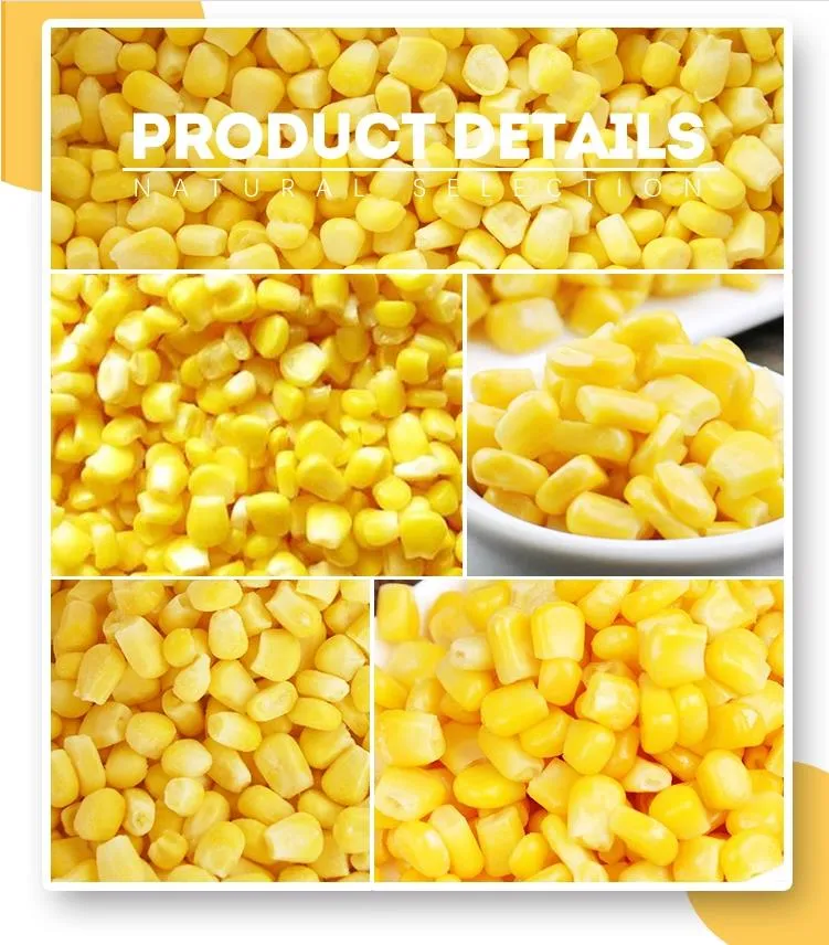 Ifq/Frozen Sweet Corn with Premium Quality, Best Spice for Food and Good for Health