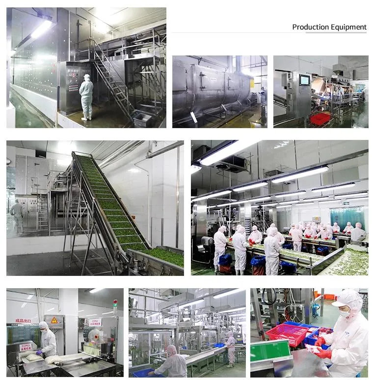 Ifq/Frozen Sweet Corn with Premium Quality, Best Spice for Food and Good for Health