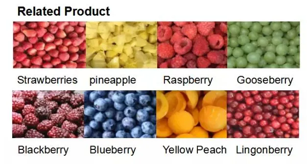 Ifq/Frozen Sweet Corn with Premium Quality, Best Spice for Food and Good for Health