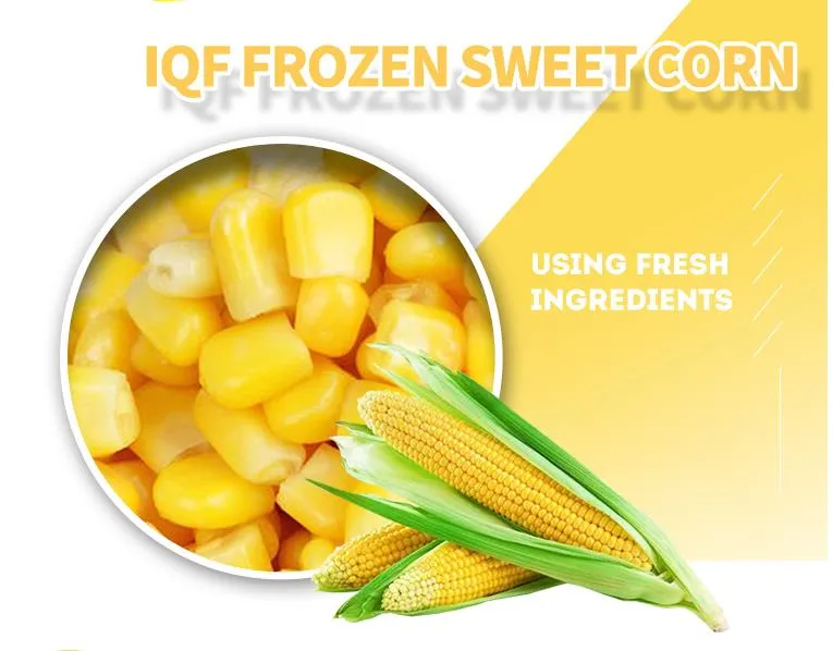 Ifq/Frozen Sweet Corn with Premium Quality, Best Spice for Food and Good for Health