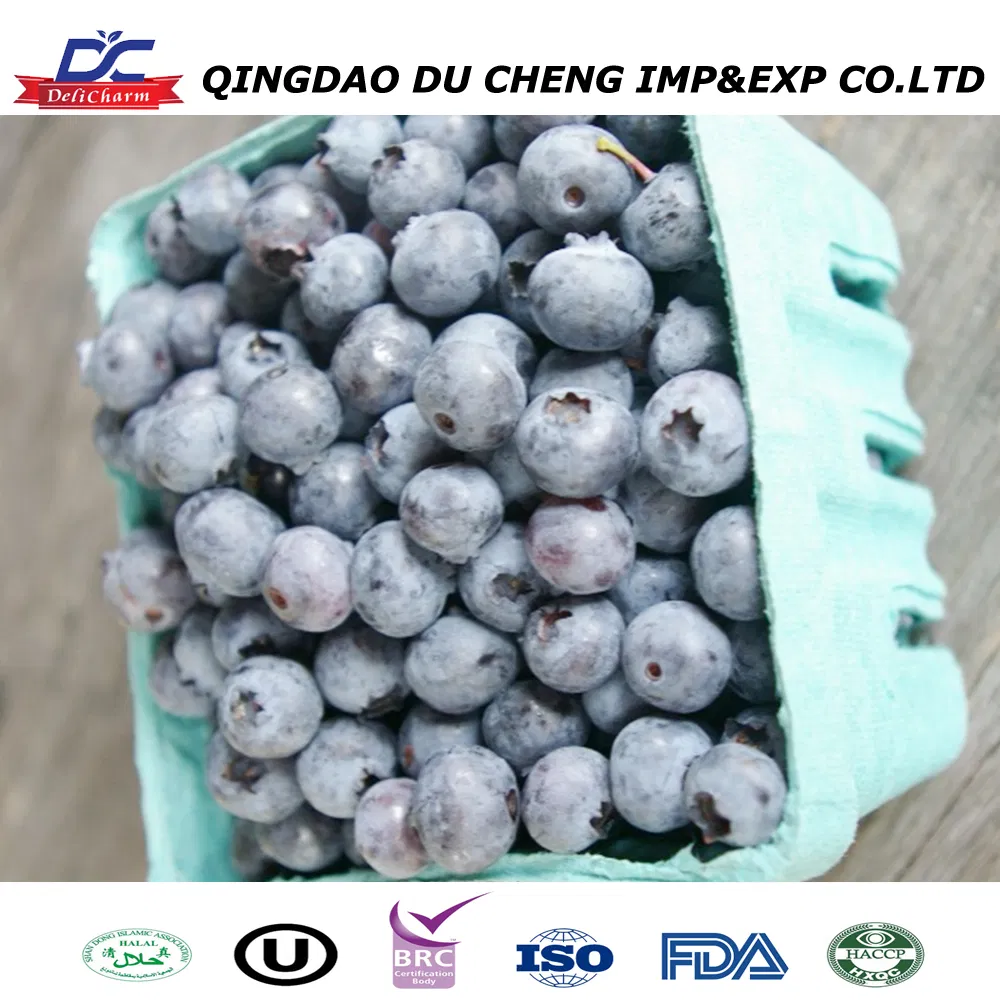 IQF Blueberry Frozen Blue Berries for Mixed Fruit