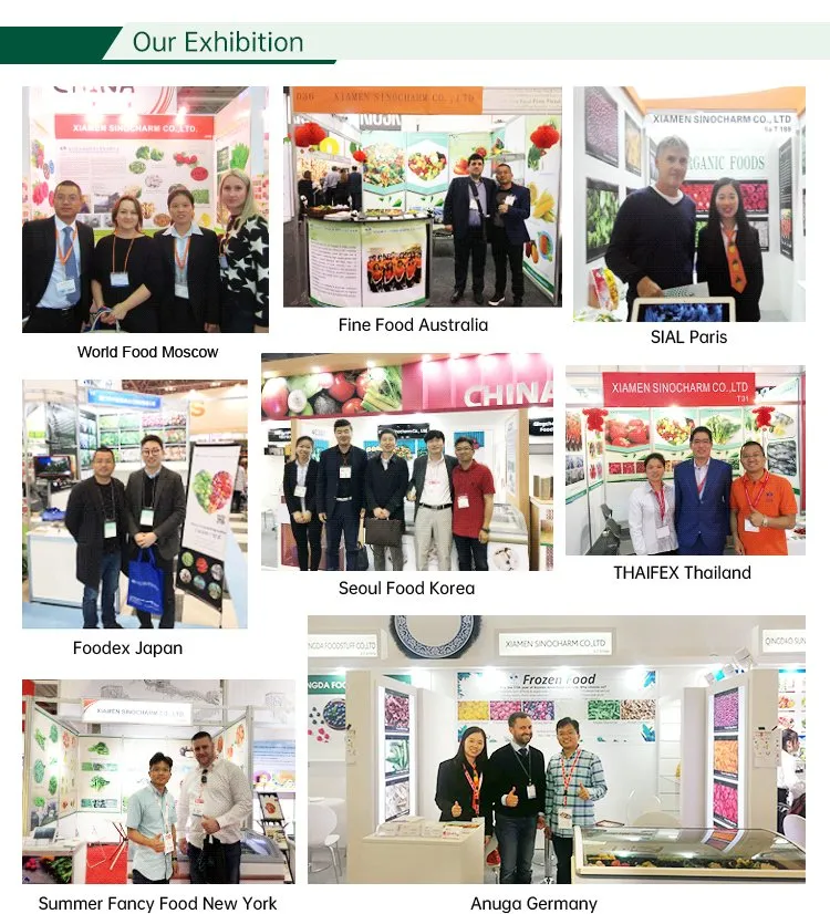 IQF Champignon Mushroom Frozen Blanched Champignon Mushroom