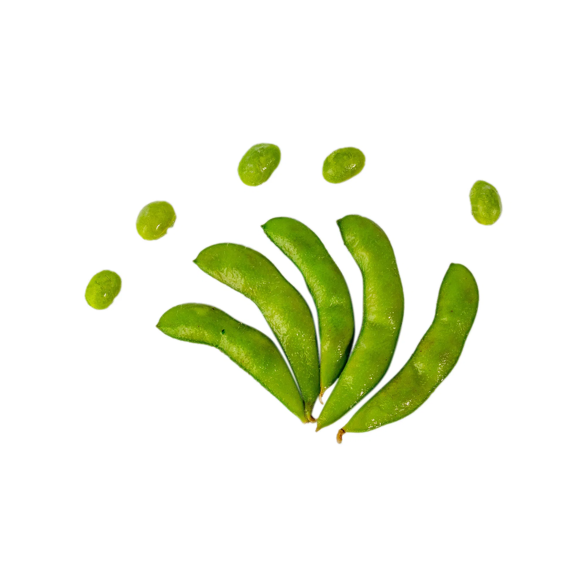 IQF Cooked Edamame Kernels for Salad with Non GMO