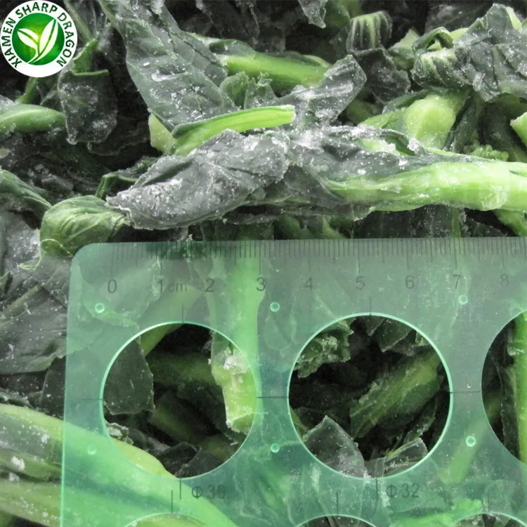IQF Custom Packaging Fresh Fruits and Vegetables Seaborne Bulk Market Price Frozen Celery