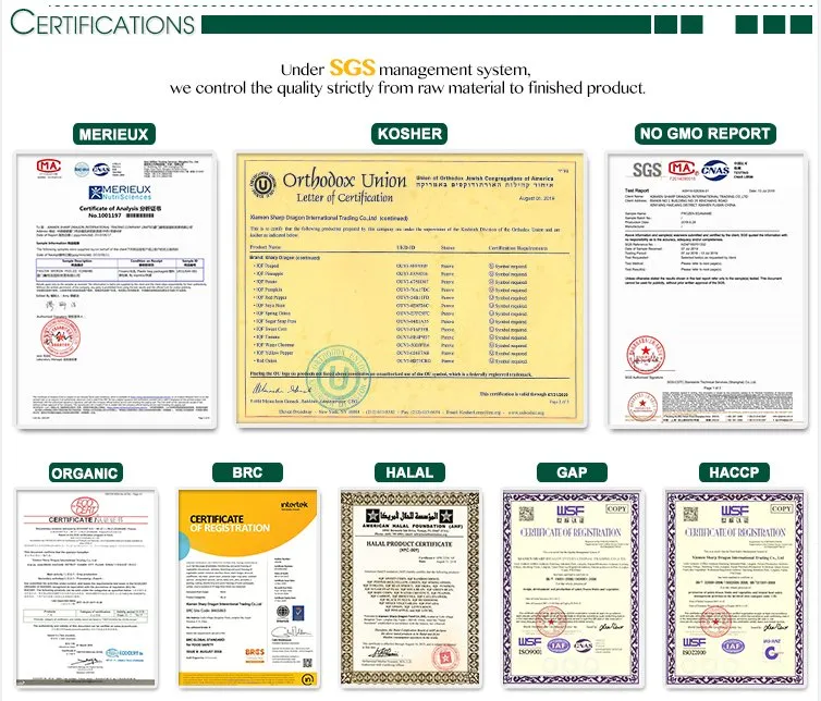 IQF Custom Packaging Fresh Fruits and Vegetables Seaborne Bulk Market Price Frozen Celery