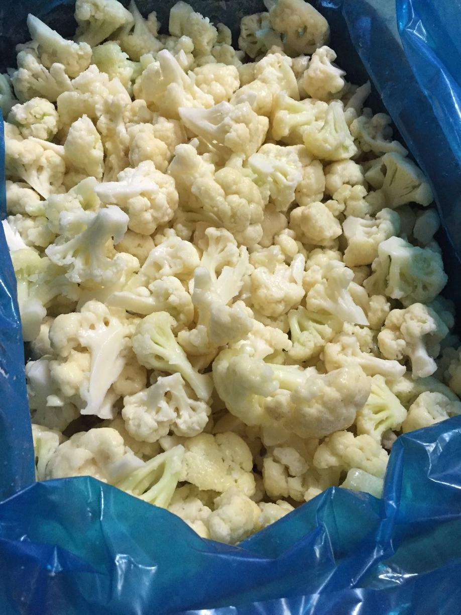 IQF Export Wholesale Price Bulk Frozen Cauliflower