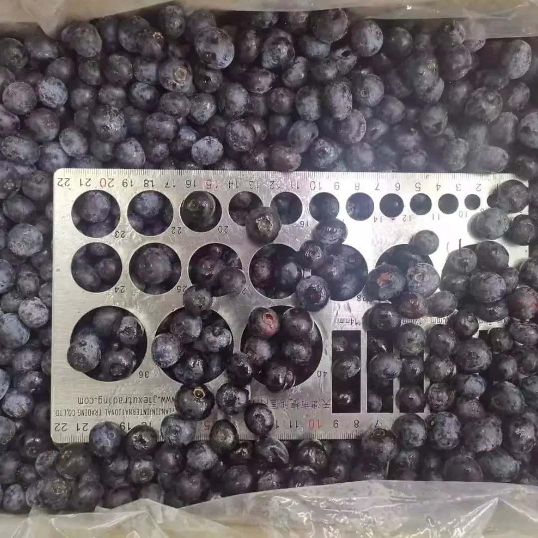 IQF Frozen Berries, Blueberry , From China