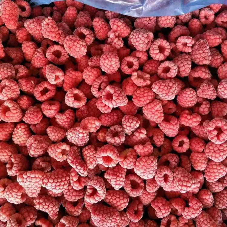 IQF Frozen Berries, Blueberry, From China