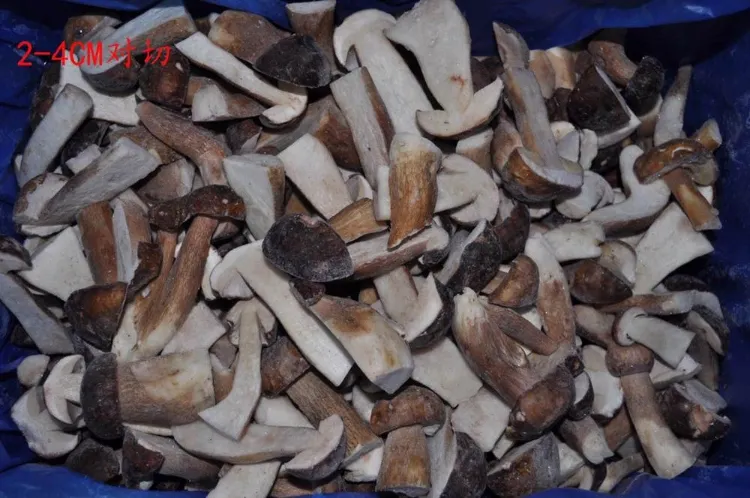 IQF Frozen Boletus Edulis Whole and Cut