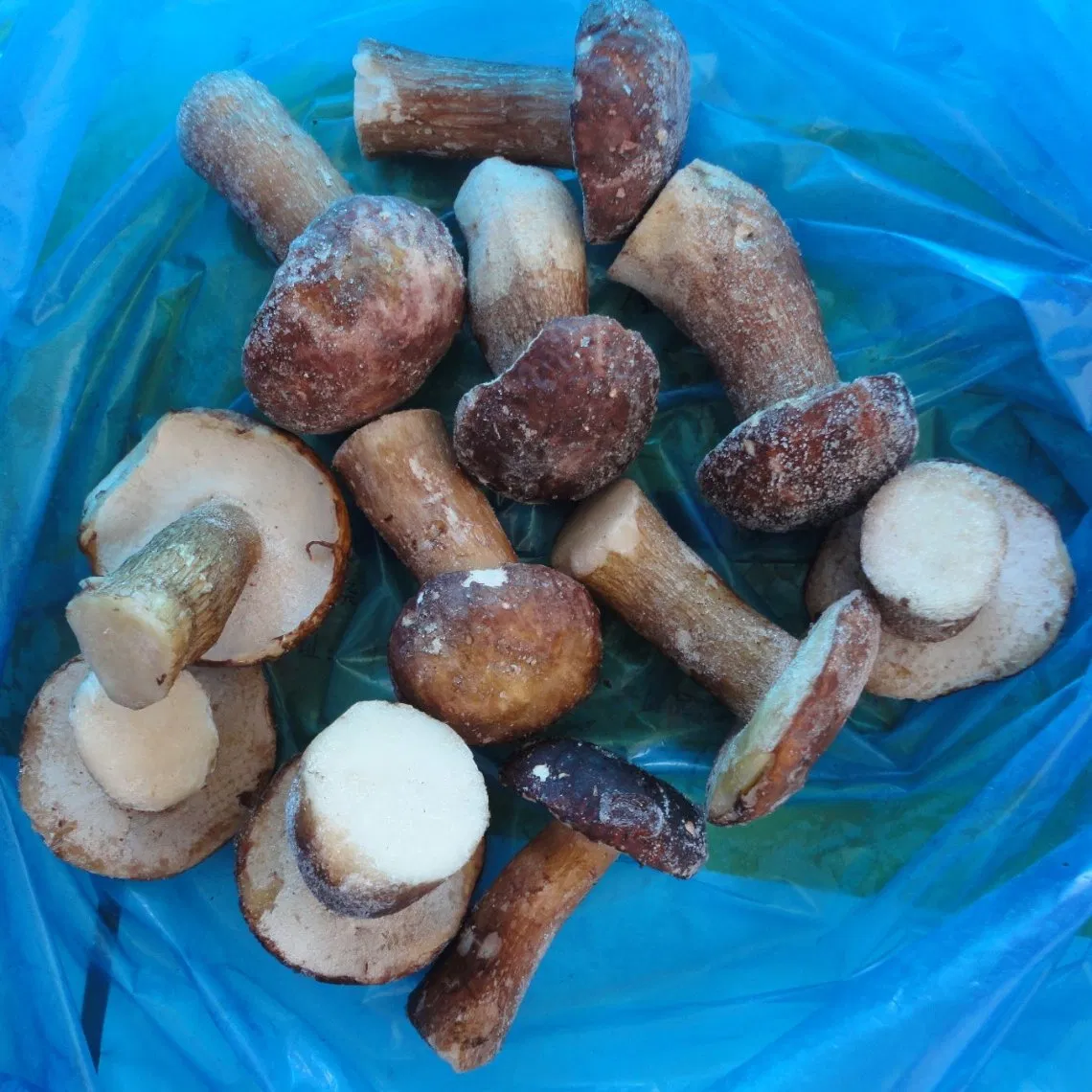 IQF Frozen Boletus Edulis Whole and Cut