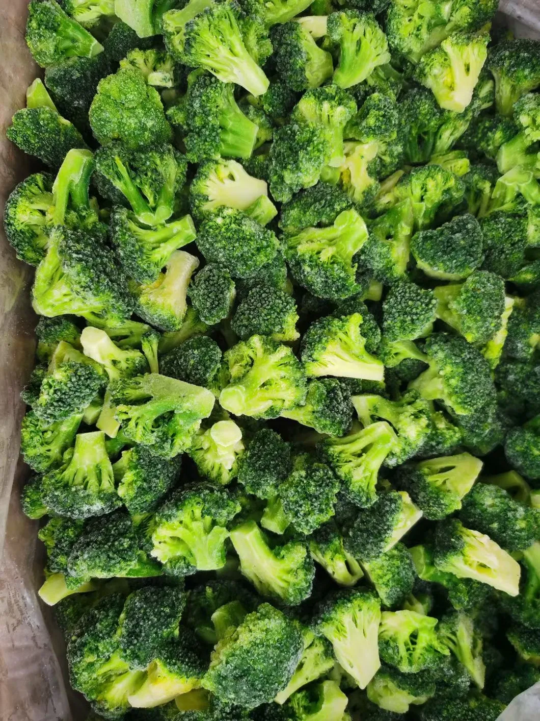 IQF Frozen Broccoli, Broccoli Florets, Vegetables