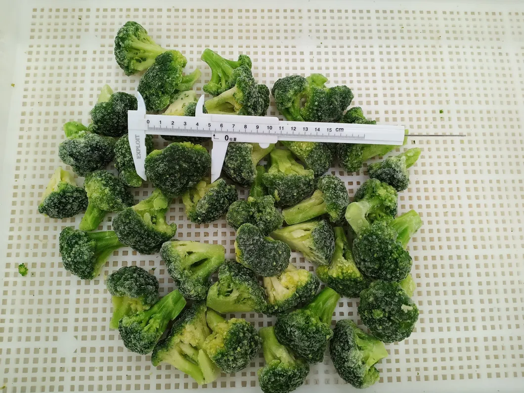 IQF Frozen Broccoli, Broccoli Florets, Vegetables