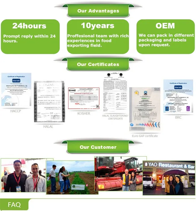 IQF Frozen Chopped Spinach Ball