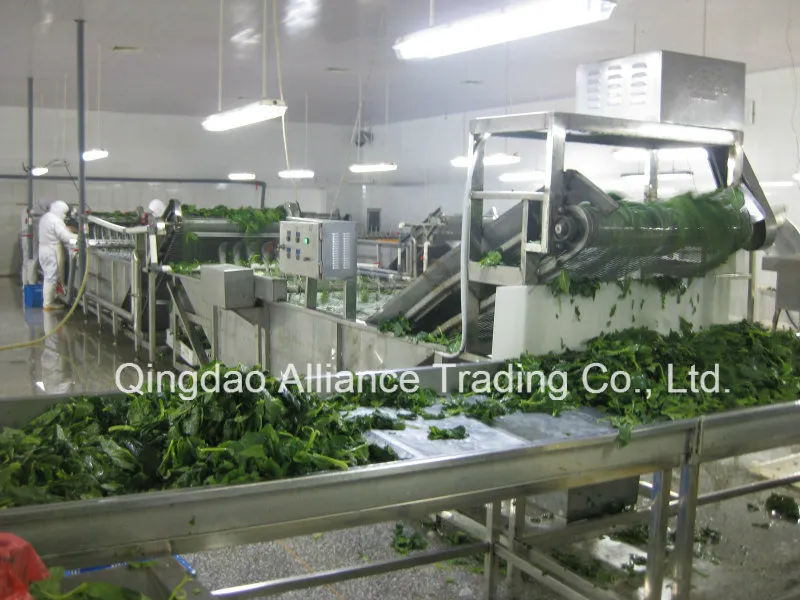 IQF Frozen Chopped Spinach Ball