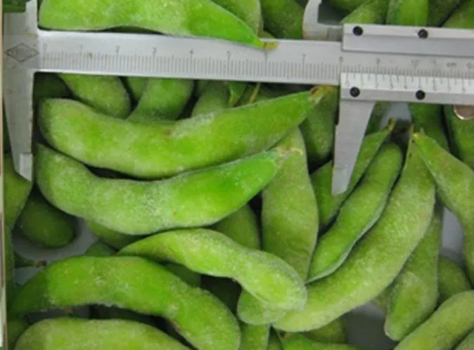 IQF Frozen Edamame Supplier From China