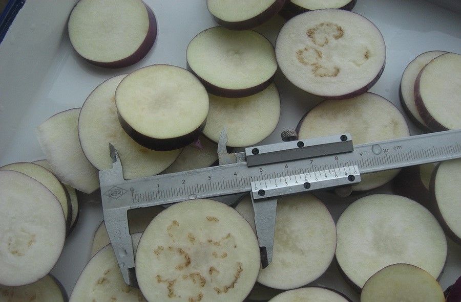 IQF Frozen Eggplant Slices Cube Purple Eggplant