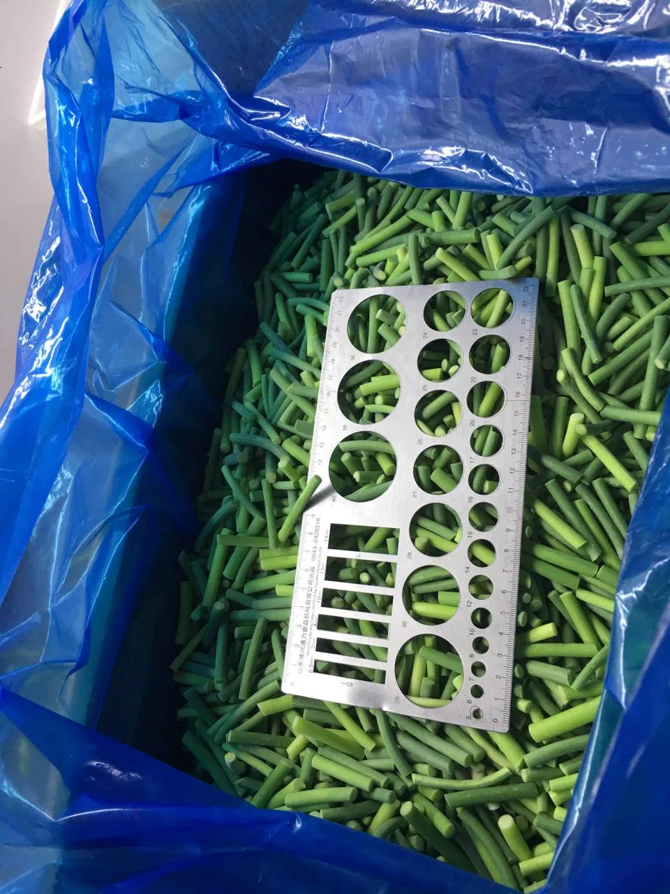 IQF Frozen Garlic Sprout Frozen Vegetables Food Manufacture Producer Factory