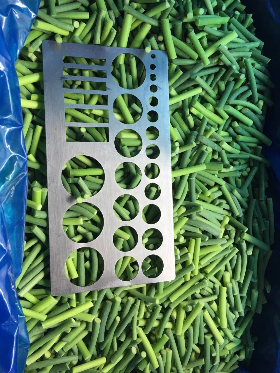 IQF Frozen Garlic Sprout Frozen Vegetables Food Manufacture Producer Factory