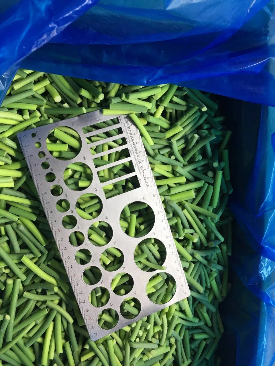 IQF Frozen Garlic Sprout Frozen Vegetables Food Manufacture Producer Factory