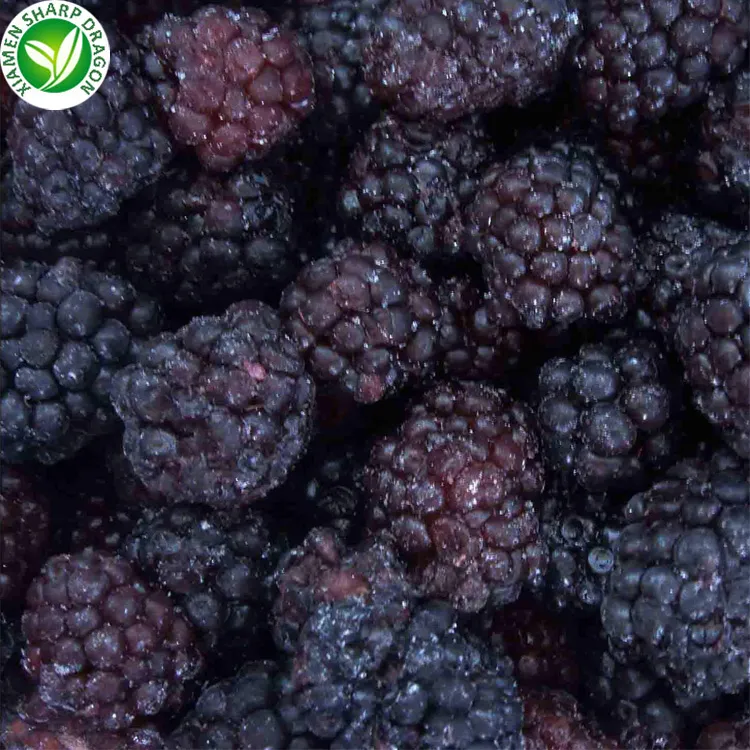 IQF Frozen Organic Grade a Fruit Blackberry