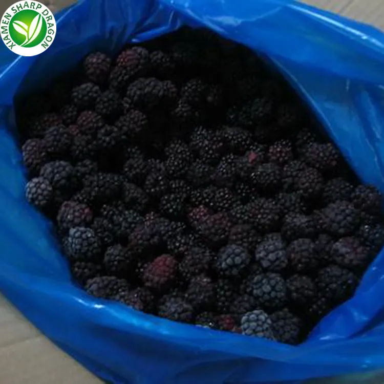 IQF Frozen Organic Grade a Fruit Blackberry