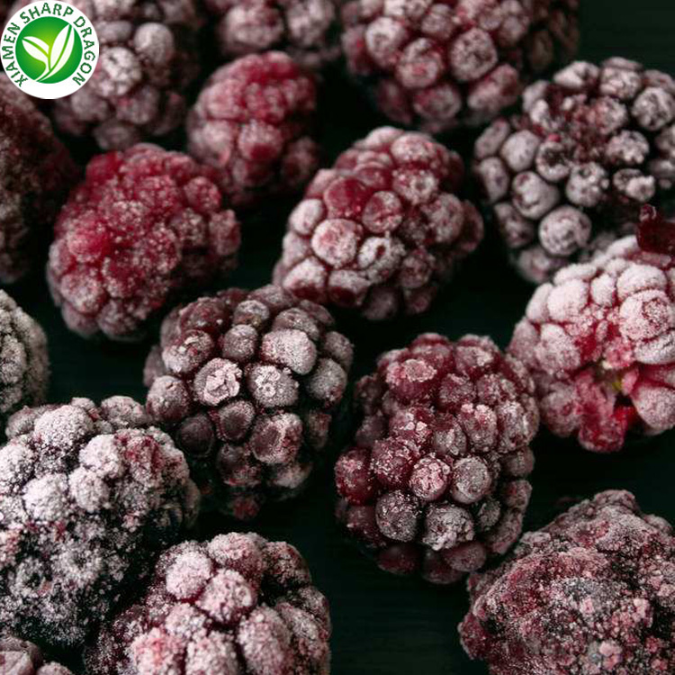 IQF Frozen Organic Grade a Fruit Blackberry