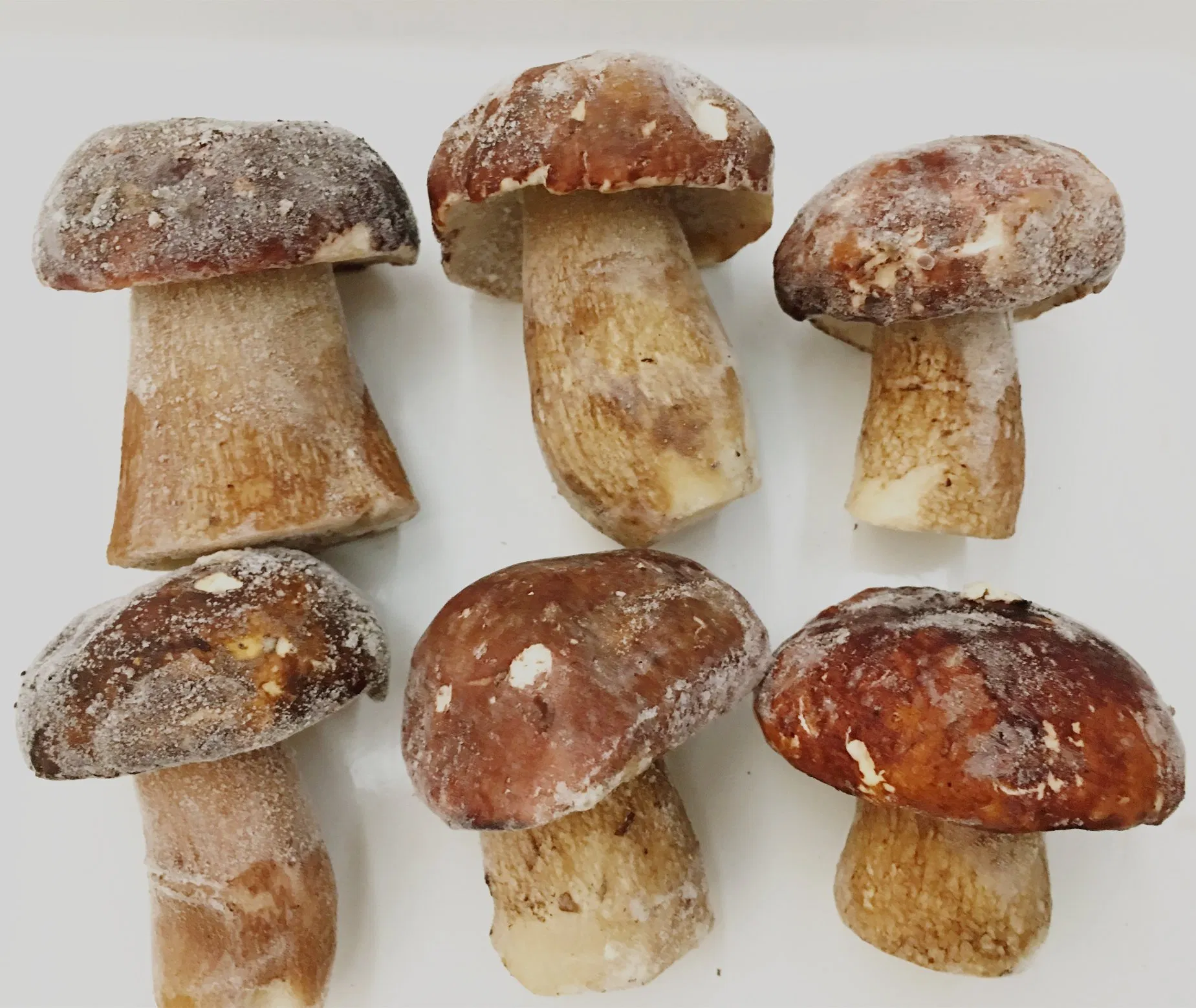IQF Frozen Porcini Mushroom Boletus Edulis