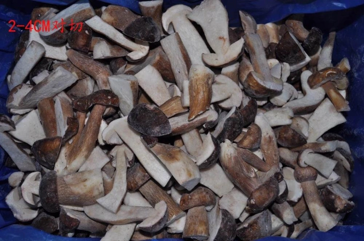 IQF Frozen Porcini Mushroom Boletus Edulis
