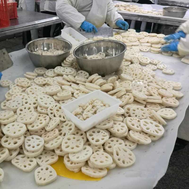 IQF Frozen Vegetables Slice Lotus Root