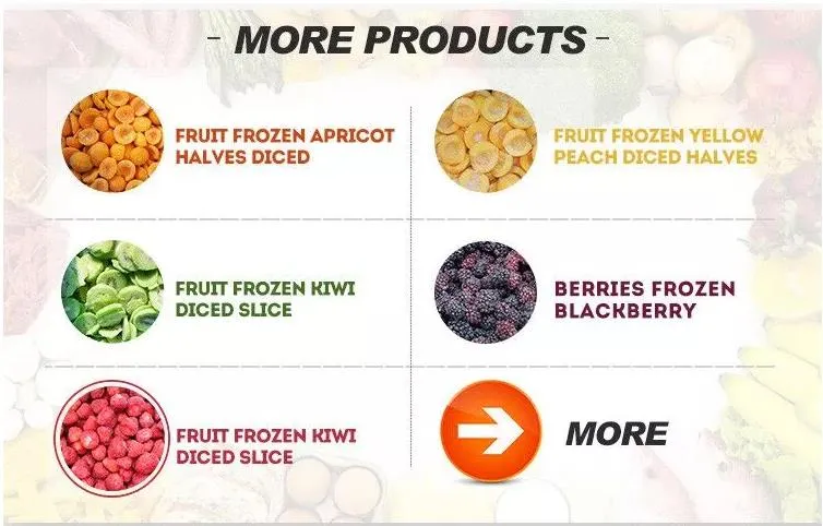 IQF Frozen Wild Blueberry, Buy From Supplier