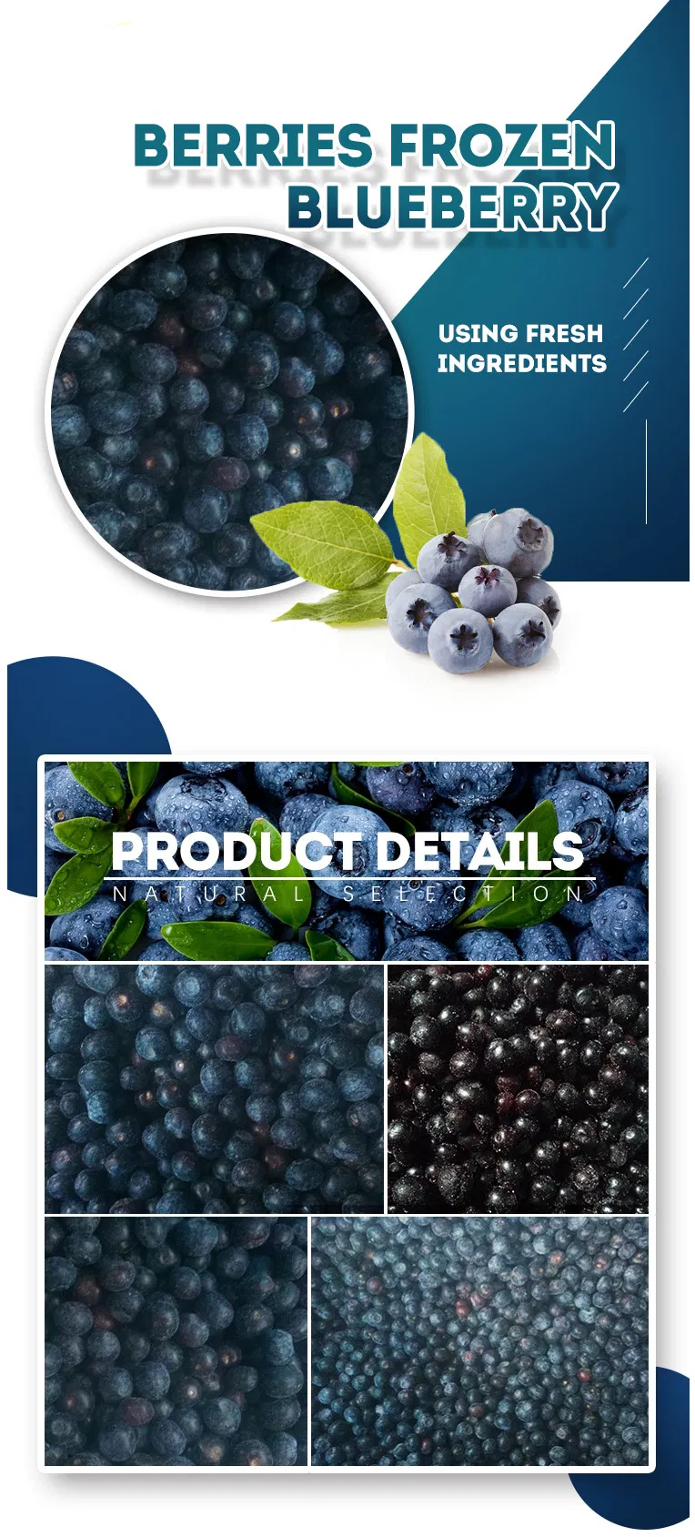 IQF Frozen Wild Blueberry, Buy From Supplier