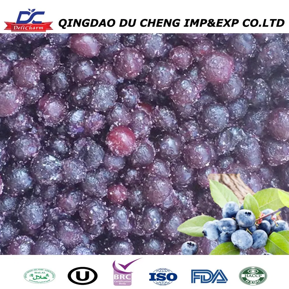 IQF Frozen Wild Blueberry , Buy From Supplier
