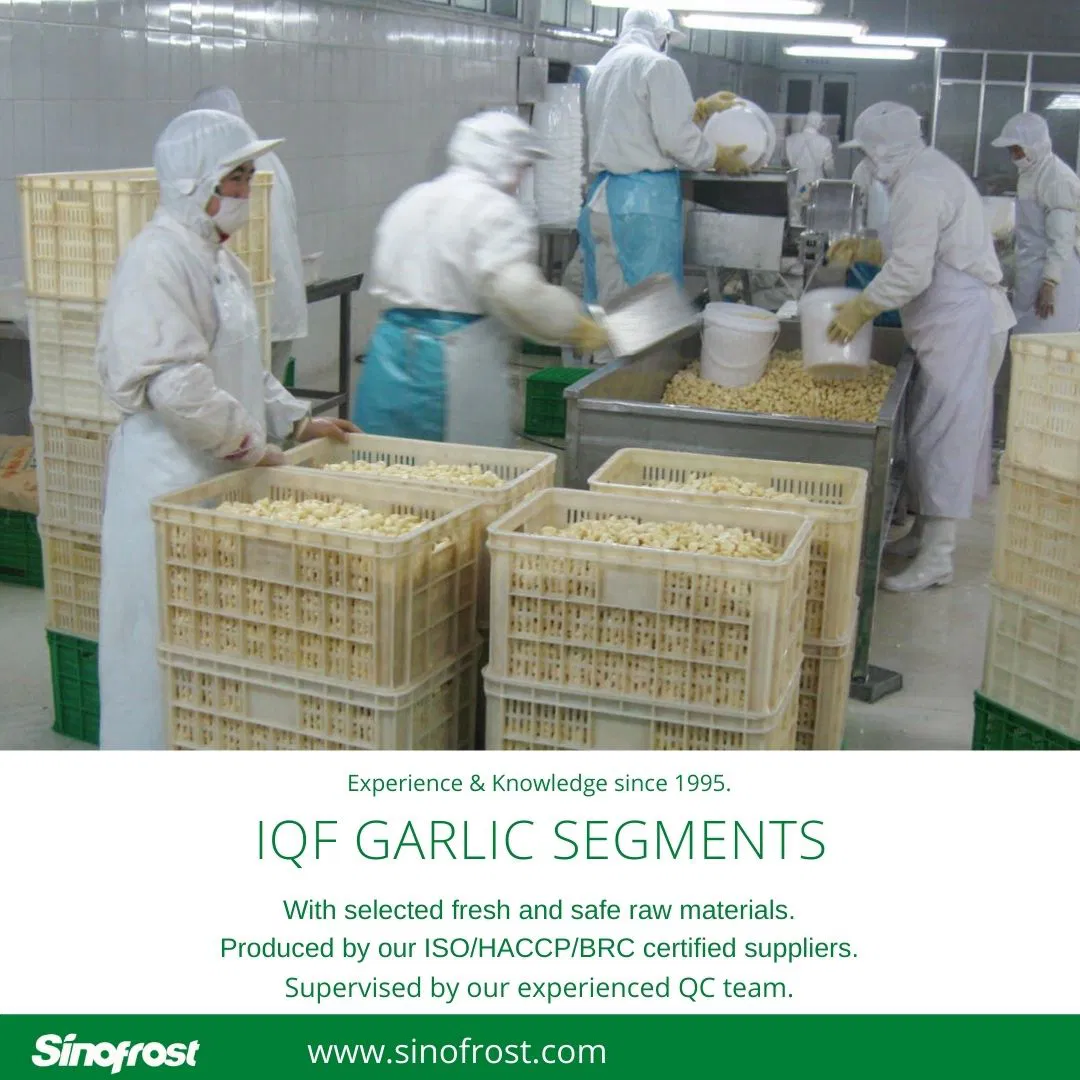 IQF Garlic Segment, Frozen Garlic Cloves , Frozen Garlic Segment, IQF White Garlic Cloves , Frozen White Garlic Cloves , IQF Garlic Cloves , IQF Vegetables