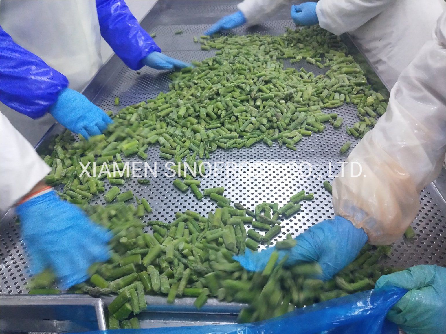 IQF Green Asparagus Cuts & Tips, Frozen Green Asparagus Heads & Cuts, IQF Green Asparagus Tips & Cuts, IQF Green Asparagus Heads & Cuts, ISO/ HACCP /Brc