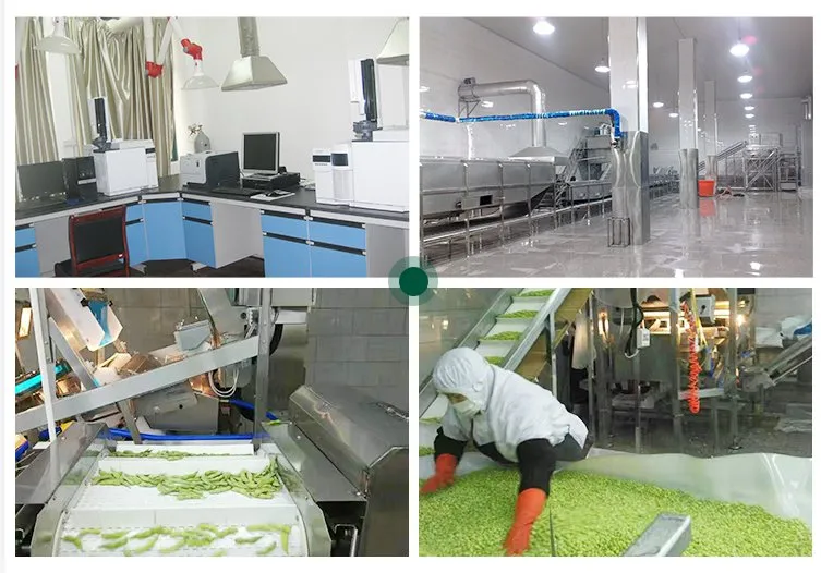 IQF Supplier Top Chinese Natural New Crops Competitive Price Frozen Chinese Chives