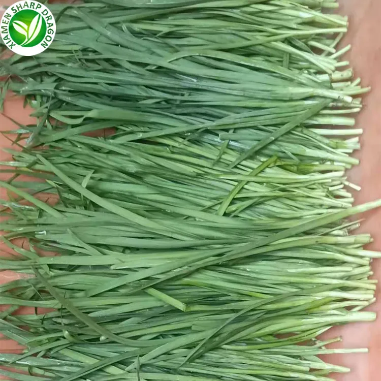 IQF Supplier Top Chinese Natural New Crops Competitive Price Frozen Chinese Chives