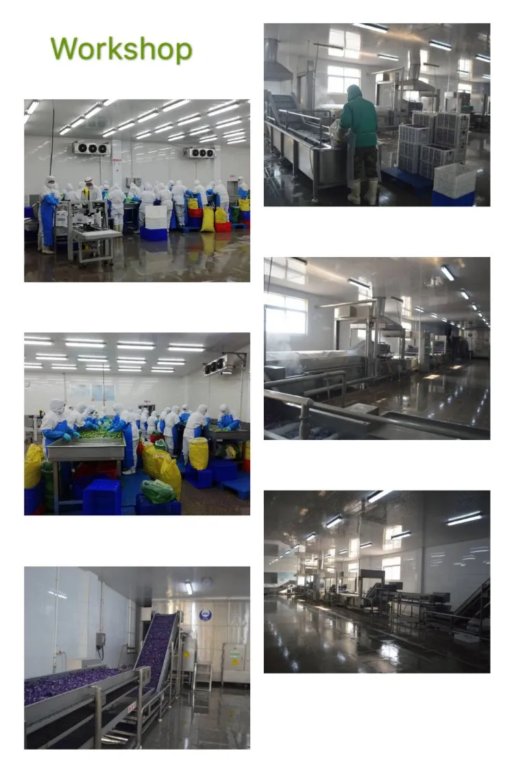IQF Vegetables Frozen Dices/Slices/Strips Carrot