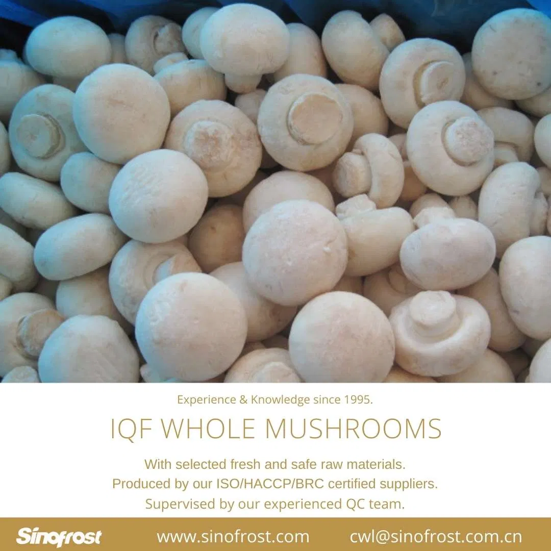 IQF Whole Champignon Mushrooms,Frozen Whole Champignon Mushrooms,IQF Champignon Mushroom Wholes,Frozen Champignon Mushroom Wholes, IQF Mushrooms,Frozen Mushroom