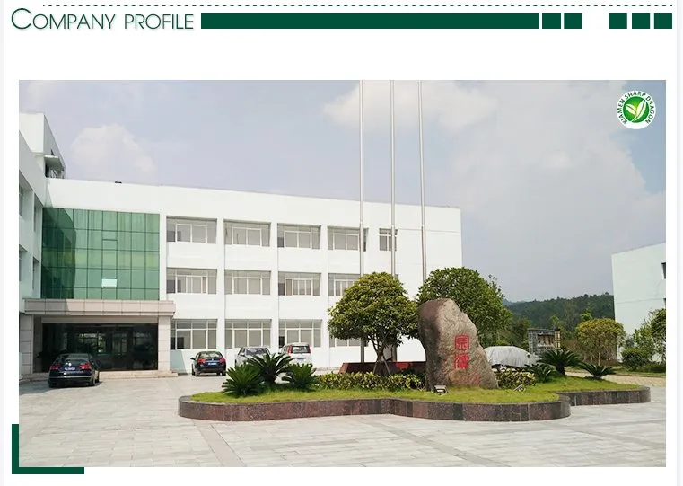 IQF Wholesale Sliced and Diced Vegetable Processing Line Bulk Frozen Lotus Root